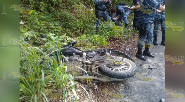 Atropellados sobre la carretera federal Álamo-Tamazunchale
