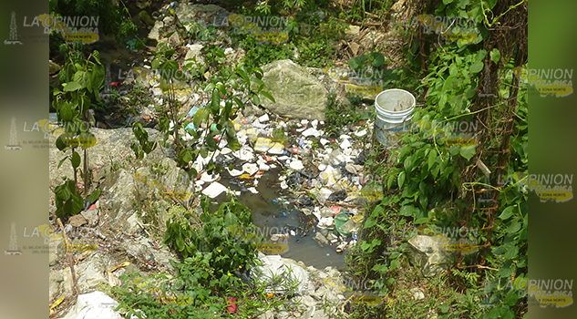 Foco de infección, arroyos contaminados