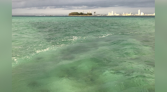 Desaparece “cancuncito” de playas veracruzanas
