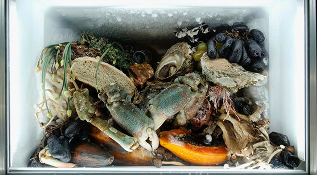 La materia viva desafía a la conservación en los museos de arte contemporáneo