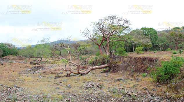 A pesar de las lluvias, arroyos están aún sin agua