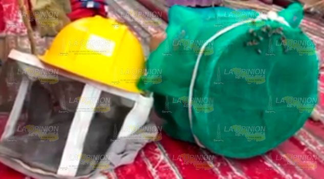 Alumnos son atacados por enjambre de abejas en Huejutla Alumnos son atacados por enjambre de abejas en Huejutla