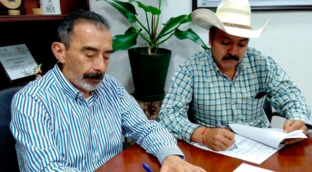 Con 61 mil árboles reforestarán zonas afectadas por incendios en Acultzingo Con 61 mil árboles reforestarán zonas afectadas por incendios en Acultzingo