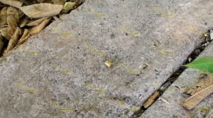 Le dispara a niños que jugaban en la calle en Tuxpan Dispara contra niños que jugaban fútbol en la calle en Tuxpan