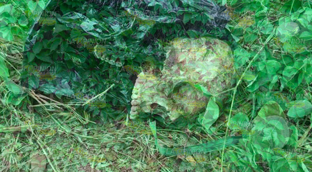 Encuentran un cráneo a orillas de la carretera Martínez - Puente II Encuentran un cráneo a orillas de la carretera Martínez - Puente II