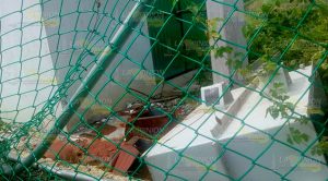 Habitantes reportan escurrimiento de aguas negras en Papantla Habitantes reportan escurrimiento de aguas negras en Papantla