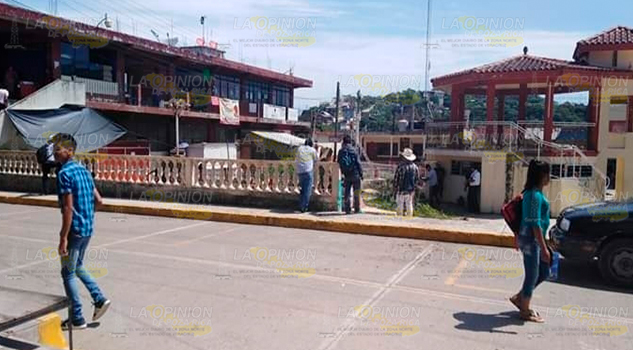 ¡Talan árboles!, los únicos del parque central de Mecatlan