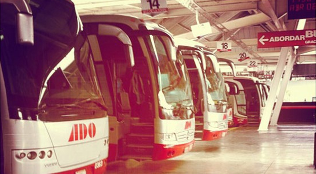 Para viajar en autobús deberás presentar una identificación oficial Para viajar en autobús deberás presentar una identificación oficial