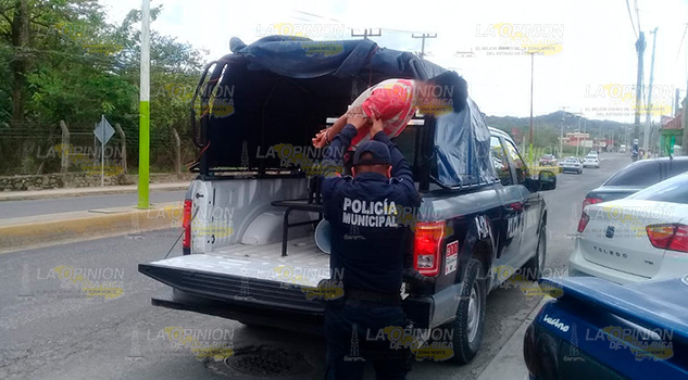 Policía captura a presunto ladrón de Aguacatitla Policía captura a presunto ladrón de Aguacatitla