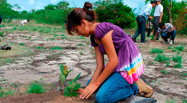 Prohíben reforestar sin permiso en Coatzacoalcos Prohíben reforestar sin permiso en Coatzacoalcos