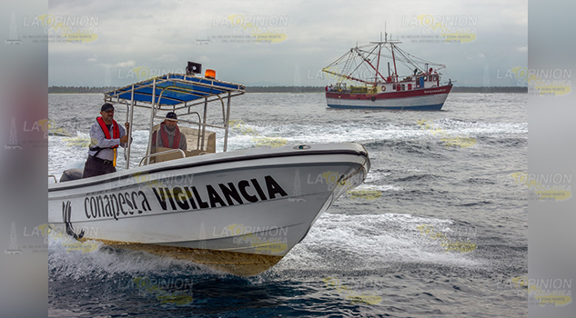 Refuerzan acciones contra pesca ilegal