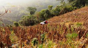 Trágica muerte de taxista al caer a barranco en la sierra de Atzalan Trágica muerte de taxista al caer a barranco en la sierra de Atzalan