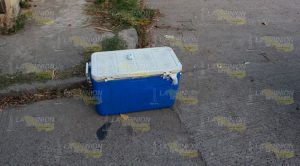 Vendedor de tortillas arrollado en Poza Rica Vendedor de tortillas arrollado en Poza Rica