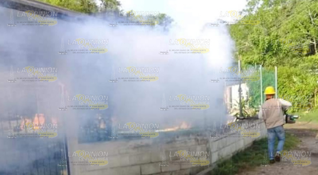 Hay alerta por posible dengue