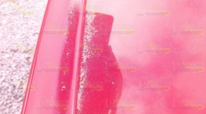 Llega a Altotonga las cenizas de Don Goyo