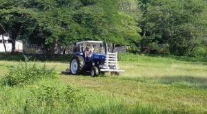 Realizan acciones preventivas en Naranjos