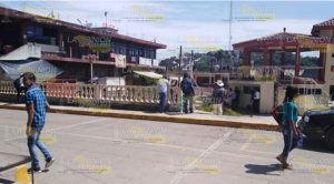 Talan el único pino y árbol del parque de Mecatlán; habitantes molestos