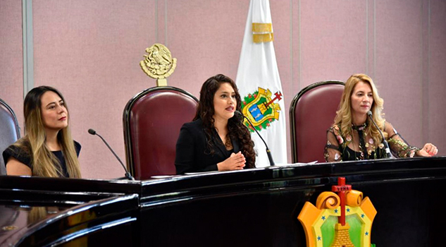 Eligen a las integrantes del Sistema para Atender la Violencia Contra las Mujeres