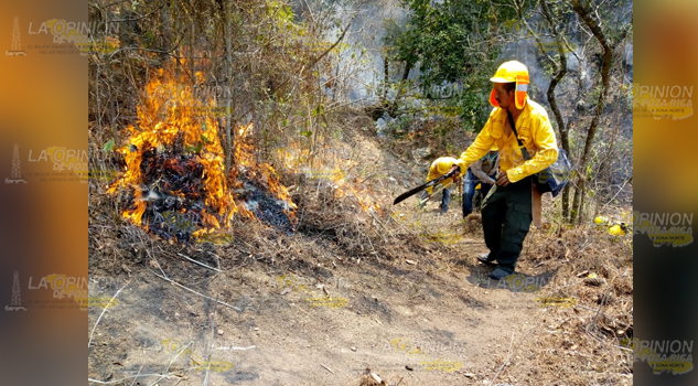 Aumentan daños por incendios forestales