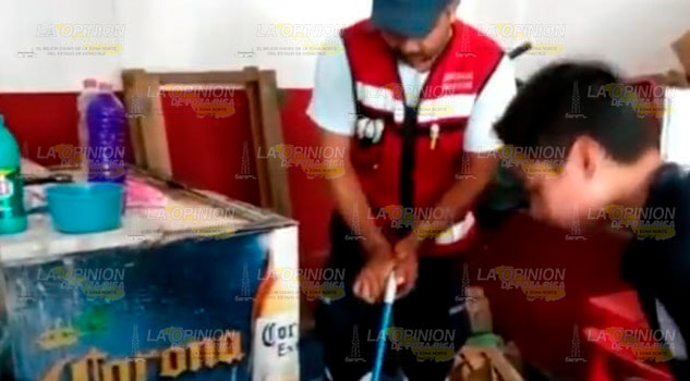 Bomberos capturan a una víbora en una cantina de Huejutla