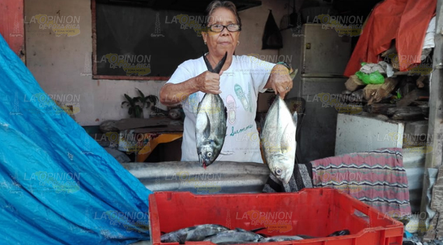Depuran padrones de apoyo a pescadores en Tuxpan; hacen a un lado a intermediarios