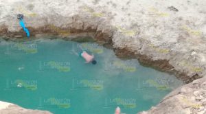 Encuentran a un niño muerto en una poza en Tuxpan