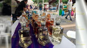 Fiesta multicolor en Poza Rica con inicio del "Encuentro de las Culturas Vivas" Fiesta multicolor en Poza Rica con inicio del Encuentro de las Culturas Vivas