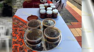 Fiesta multicolor en Poza Rica con inicio del "Encuentro de las Culturas Vivas" Fiesta multicolor en Poza Rica con inicio del Encuentro de las Culturas Vivas