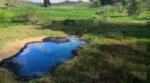 Habitantes de Xocotla reportan derrame de hidrocarburo