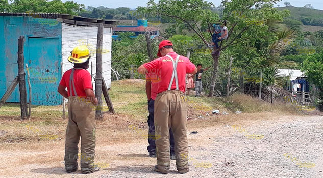 Incendian pastizal en Tuxpan, por fortuna no se expandió