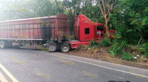 Acribillan a trailero en la carretera Álamo - Tihuatlán Trailero baleado en asalto sobre a Álamo - Tihuatlán