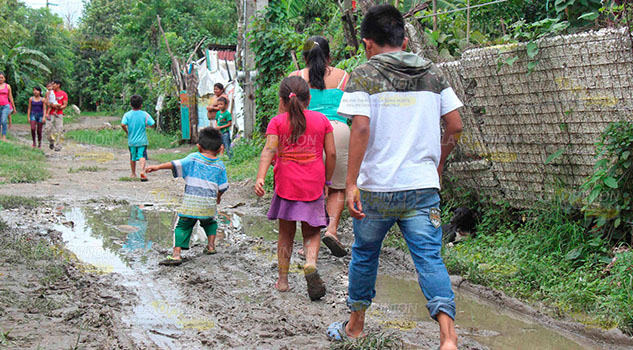 Viven entre el lodo y pobreza en colonias de Poza Rica
