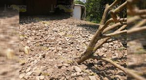 Vuelca tráiler cargado de grava en Cazones de Herrera