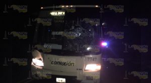 Camión choca con un caballo