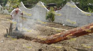 Tutunakú colocan nuevo palo volador