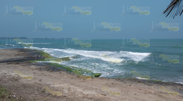 Redes de pescadores matan a las tortugas marinas en las playas de Cazones