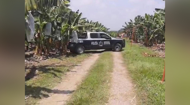 Cae helicóptero en finca platanera de Oaxaca