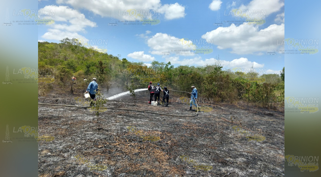 Fuego arrasa árboles de naranjo