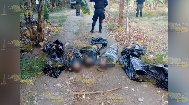 ¡Bestial crimen en comunidad de Vega de Alatorre! ¡Bestial crimen en comunidad de Vega de Alatorre!