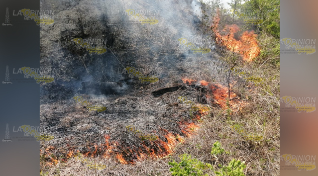 Incendio de pastizal en la colonia San Felipe de Poza Rica