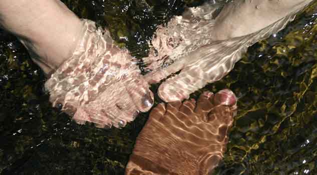 Amputan dedos de pie a mujer; acudió a tratamiento de spa con peces