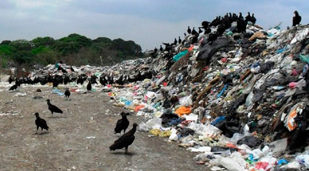 Basurero de Veracruz impacta negativamente en el medio ambiente: PMA