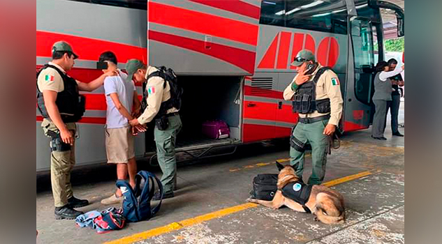 En Xalapa, detienen a dos en CAXA; subieron droga a autobuses de ADO