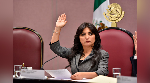 Propone diputada Erika Ayala la comparecencia de la titular de la CEAPP