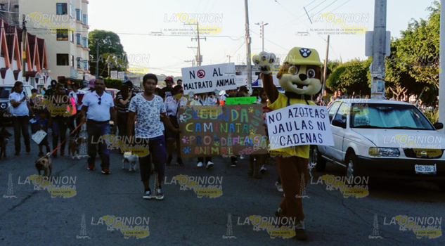 Marchan contra el maltrato animal en Cerro Azul