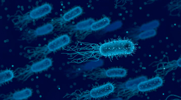 Abuelita de 74 años se convierte en la segunda muerte por listeriosis en España