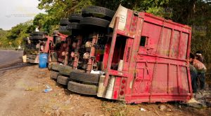 A tráiler le ganó la curva y terminó volcado sobre la carretera Tihuatlán - Alamo A tráiler le ganó la curva y terminó volcado sobre la carretera Tihuatlán - Alamo