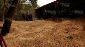 A tráiler le ganó la curva y terminó volcado sobre la carretera Tihuatlán - Alamo A tráiler le ganó la curva y terminó volcado sobre la carretera Tihuatlán - Alamo