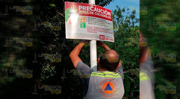 Alerta por cocodrilos en arroyos de Poza Rica Alerta por cocodrilos en arroyos de Poza Rica