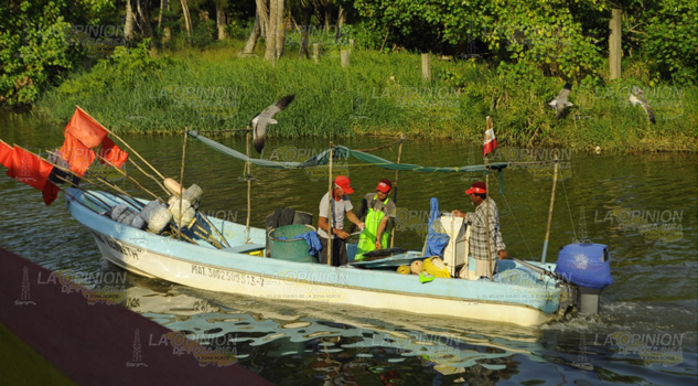 Amplían veda de camarón; pescadores de Tuxpan piden apoyos para subsistir